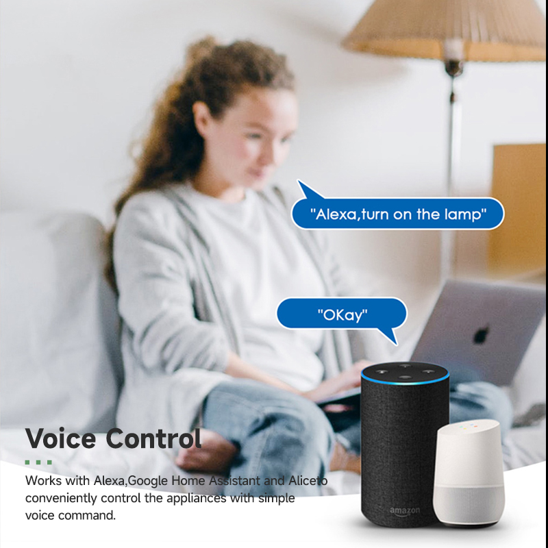 ทูย่าสมาร์ทไวไฟสวิตช์โมดูล 16A - Tuya Wifi Socket บทวิจารณ์และราคา