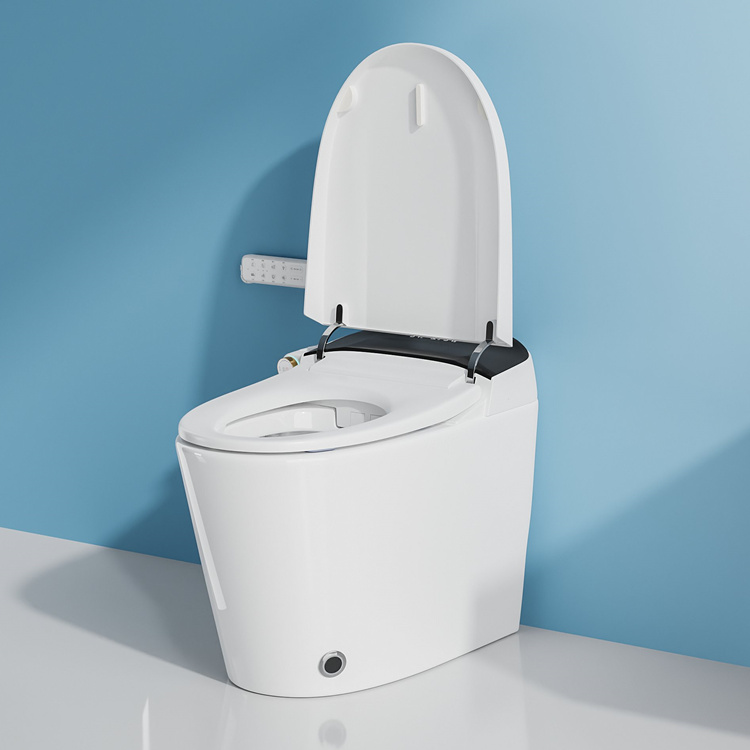 สุขภัณฑ์อัจฉริยะสำหรับตกแต่งบ้ - Smart Home Decor บทวิจารณ์และราคา